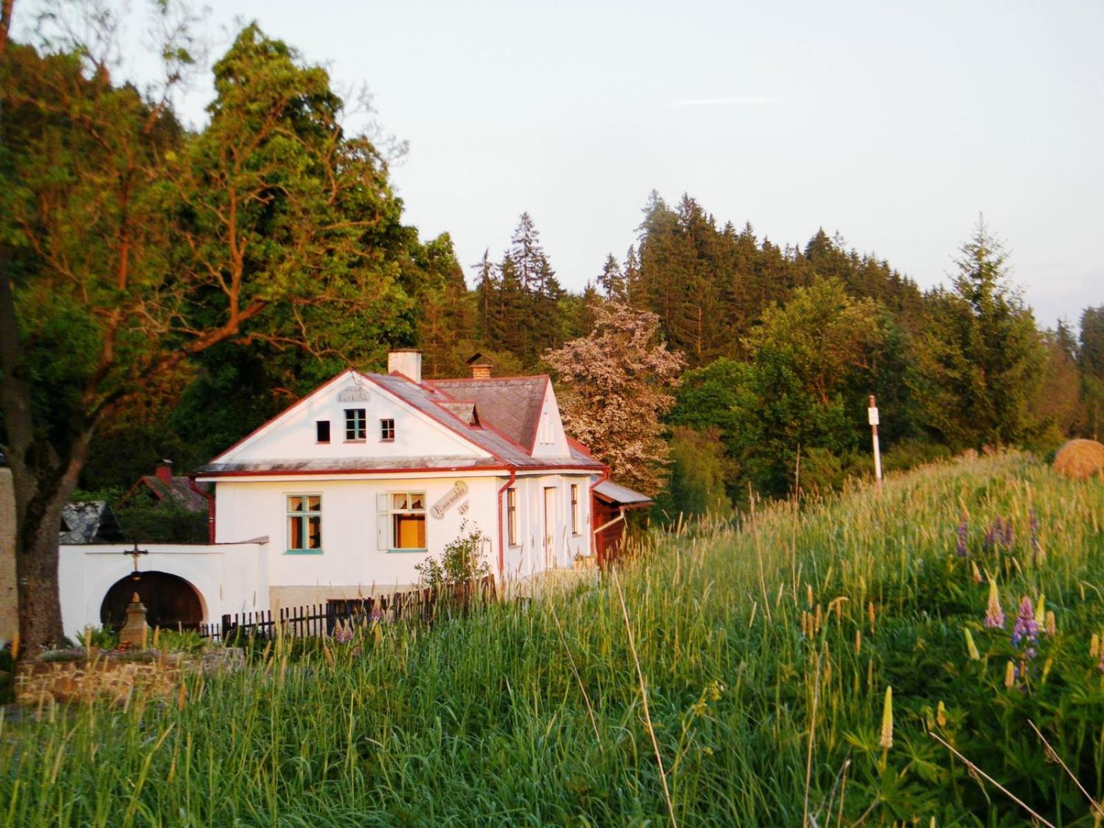 Rainmuehle Marianske Lazne Exterior foto