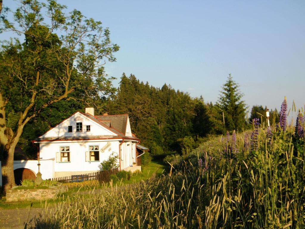 Rainmuehle Marianske Lazne Exterior foto